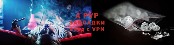 СК Белокуриха