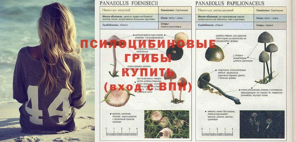 амфетамин Белоозёрский
