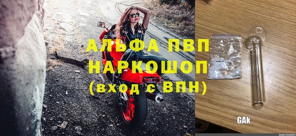 СК Белокуриха