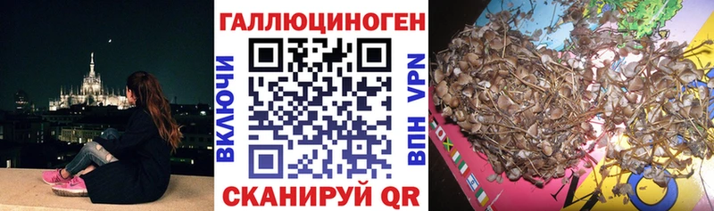 Галлюциногенные грибы ЛСД  наркота  Котлас 