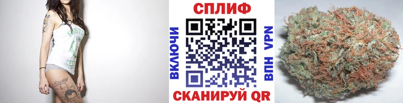 как найти наркотики  Котлас  Шишки марихуана семена 